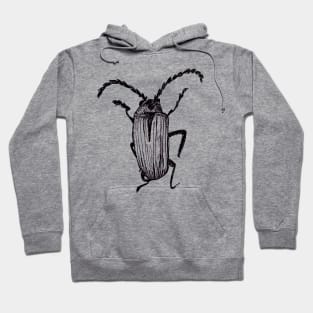 Crawlies Hoodie